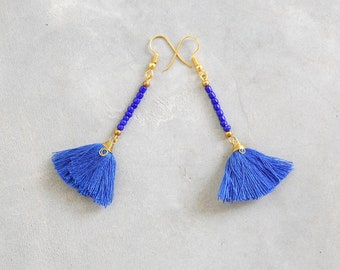 Dark Blue Small Tassel Earrings