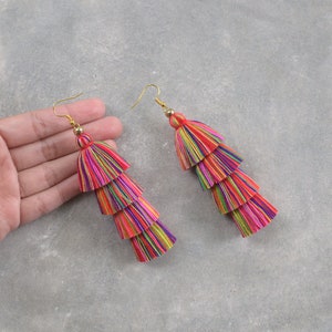 Multi Coloured Tassel Earrings image 3