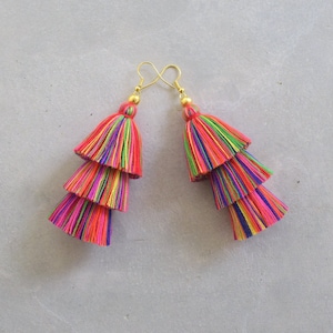 Multi Coloured Tassel Earrings image 4