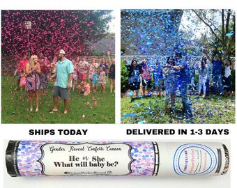 SALE! SHIPS TODAY! | Gender Reveal Confetti Cannon | Gender Reveal Confetti Popper | Confetti Cannon | Gender Reveal Ideas| Gender Reveal |