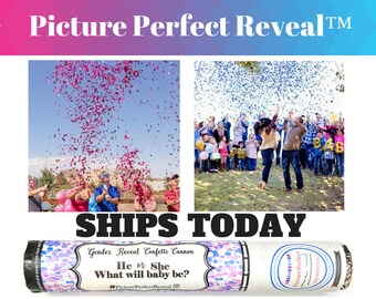 12" 16" OR 24" Cannon | Gender Reveal Cannon | Gender Reveal Ideas| Gender Reveal Party| Gender Reveal Confetti | Gender Reveal | Popper