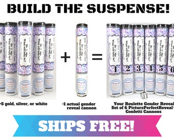 GENDER REVEAL ROULETTE™ -- Unique Gender Reveal | Gender Reveal Popper | Gender Reveal Cannon | Gender Reveal Powder Cannon Alternative