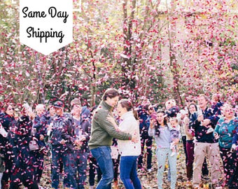 Gender Reveal| Gender Reveal Party| Gender Reveal Ideas| Gender Reveal Confetti Cannon| Smoke Bomb Alt| Gender Reveal Poppers| Popper