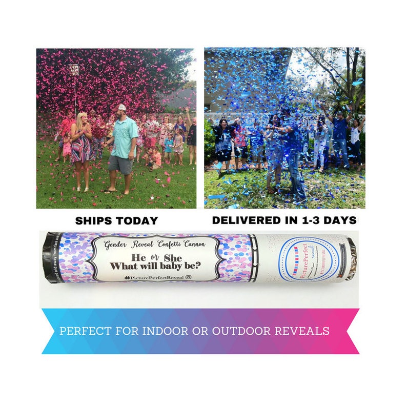 Gender Reveal Confetti Cannon Gender Reveal Confetti Popper Etsy