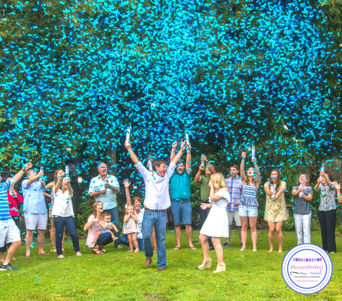 Gender Reveal Confetti Cannon Gender Reveal Confetti Popper Etsy