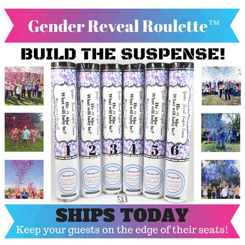 GENDER REVEAL ROULETTE™ Gender Reveal Prank Gender Reveal Etsy