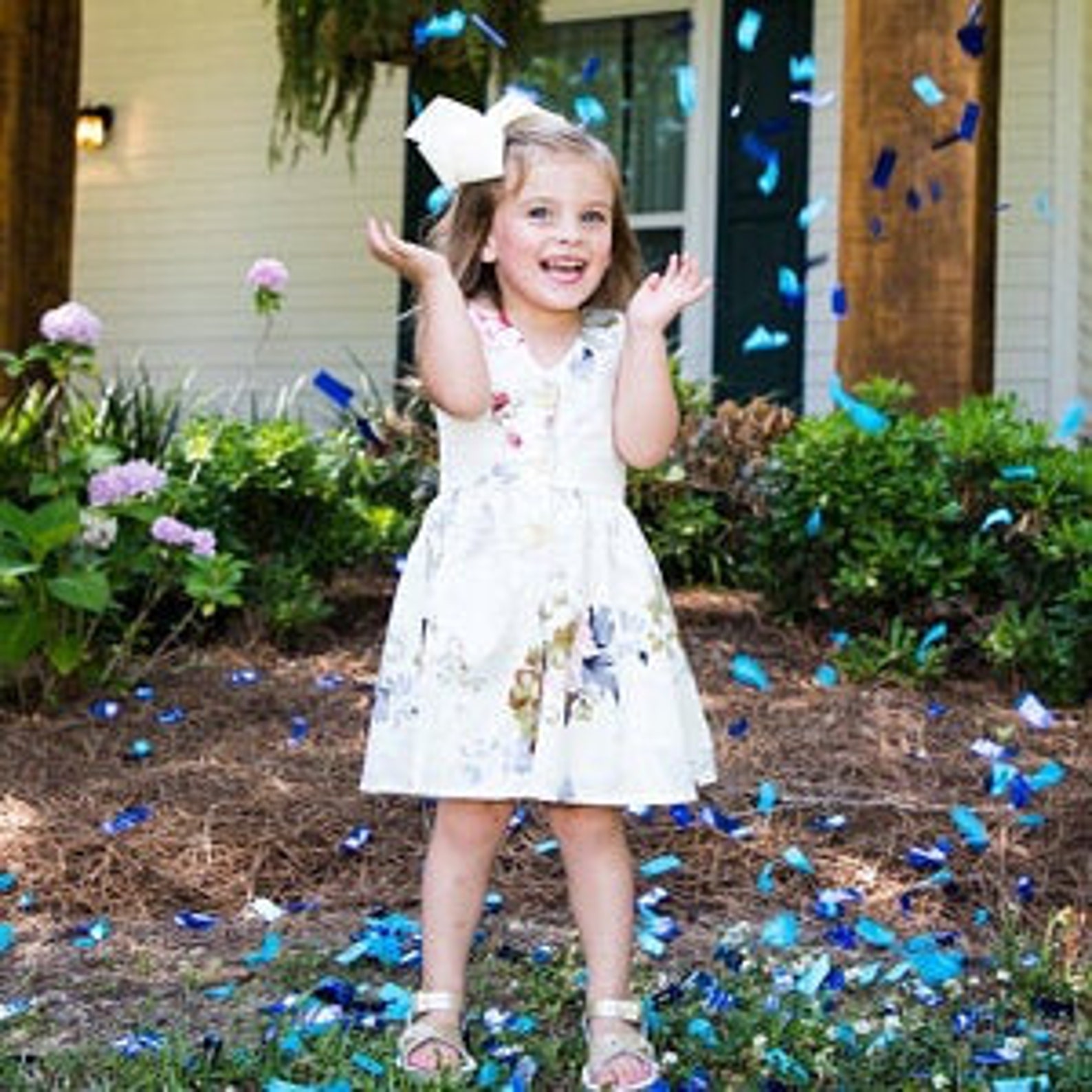 GENDER REVEAL ROULETTE™ Gender Reveal Prank Gender Reveal Etsy