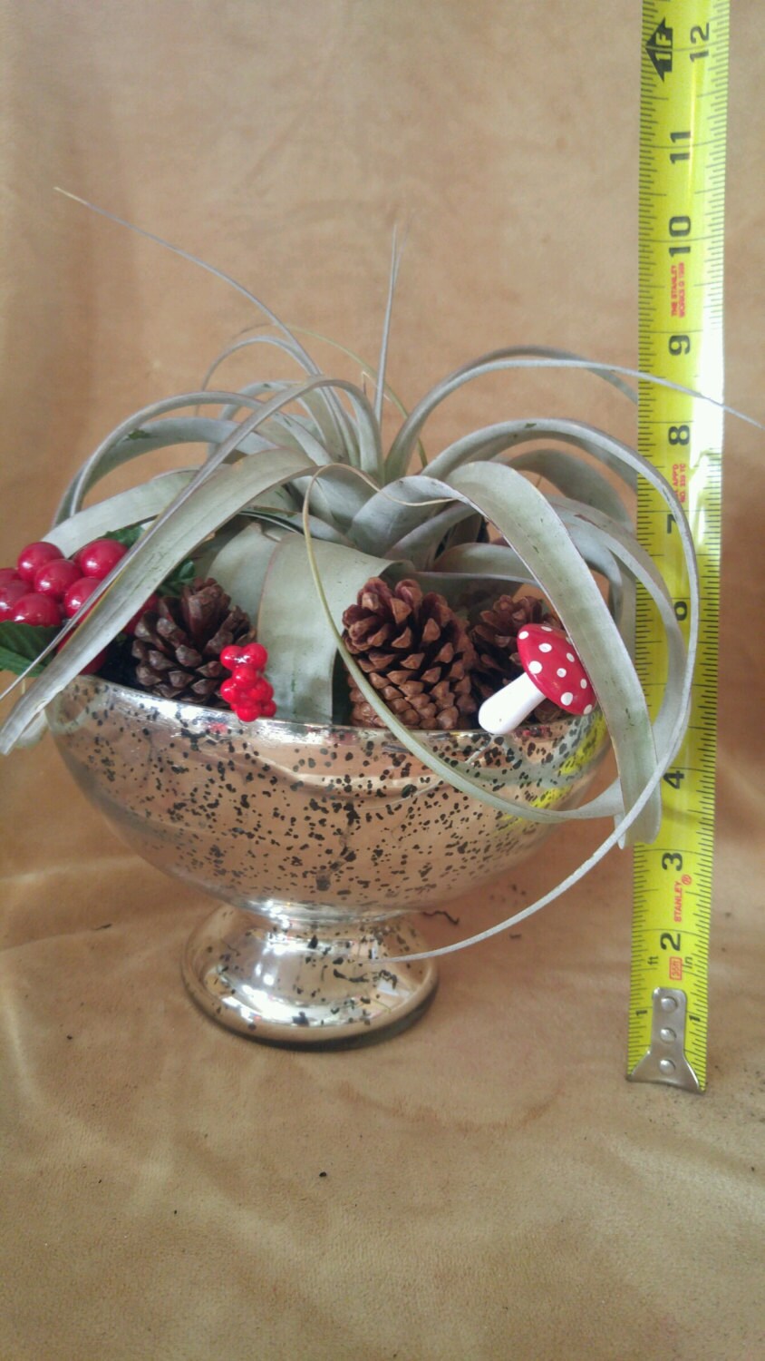 Silver Christmas Centerpiece Bowl with Airplant and Fairy