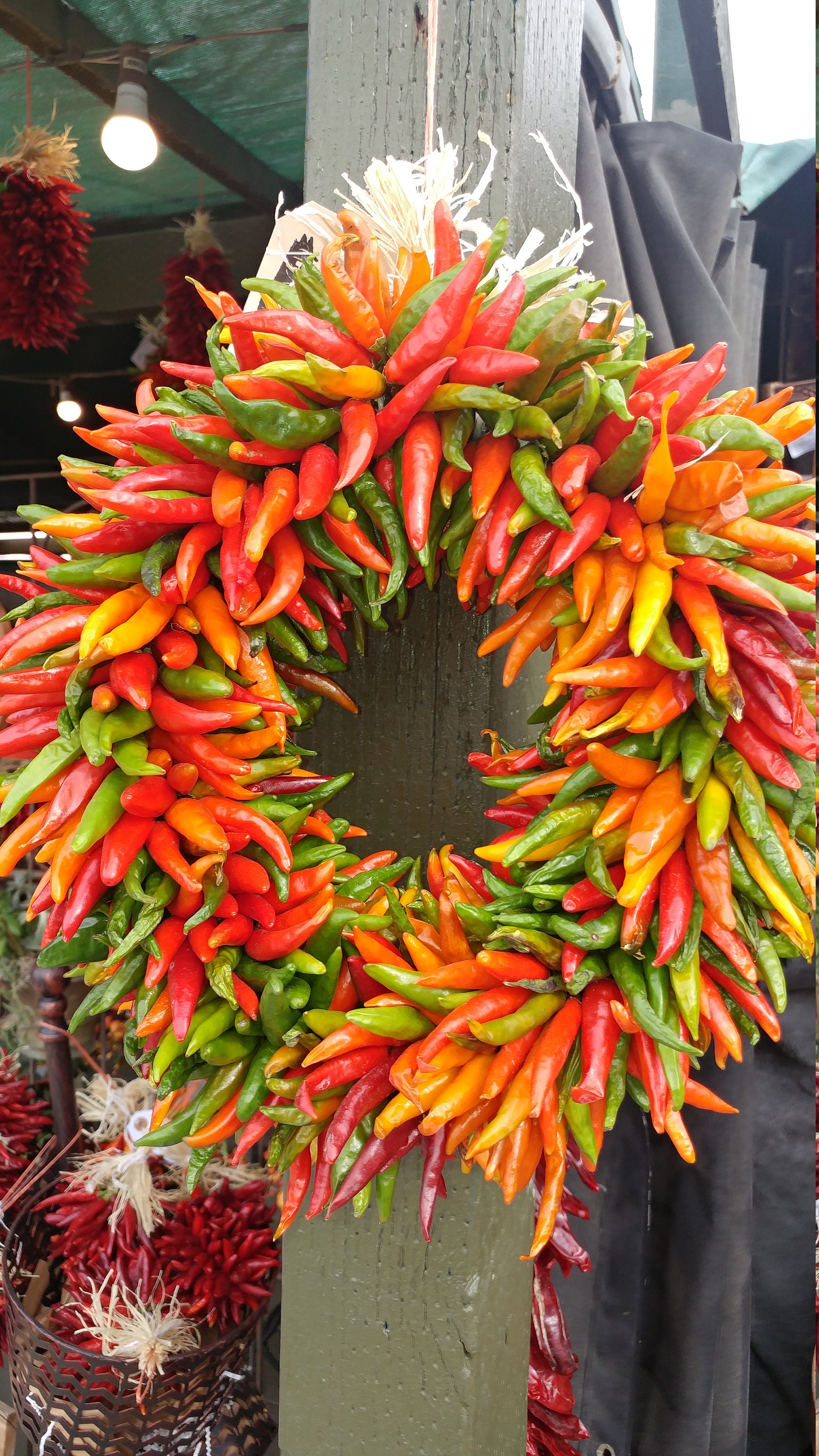 Chili Pepper Wreath