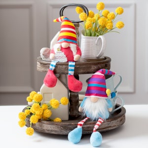 Birthday gnomes - gnomes - gnome couple - gift for her - mini gnomes - birthday gift - tometen - tiered tray decor - whimsical decoration