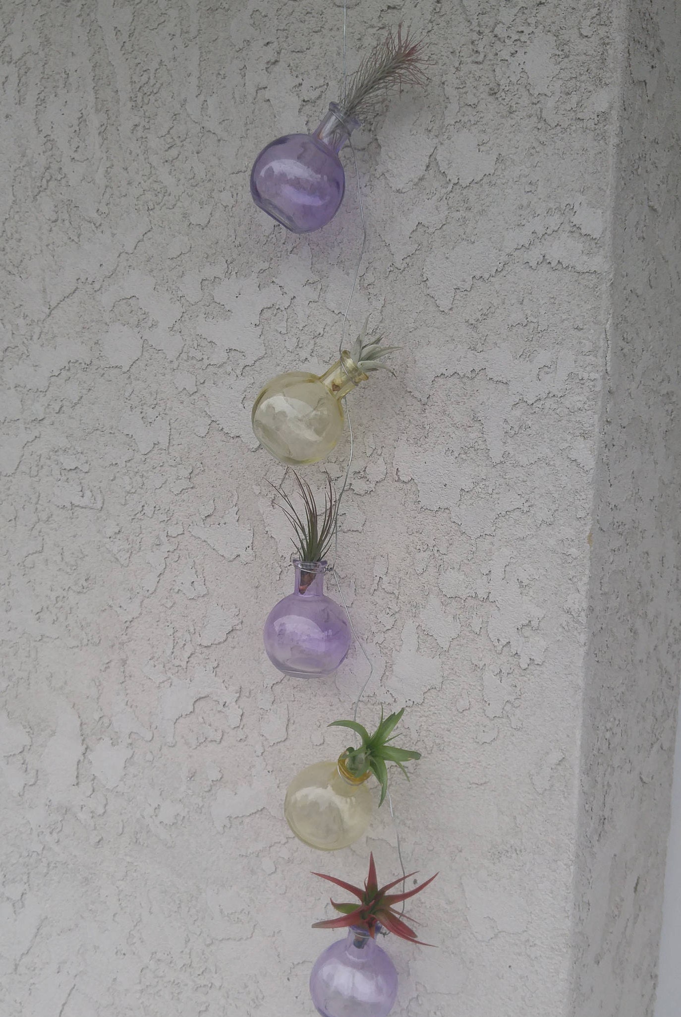 Five Hanging glass jars, outdoor decoration