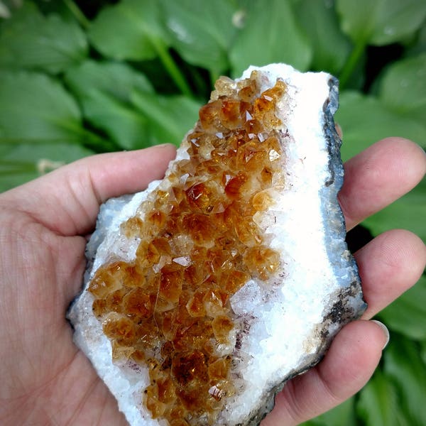 Raw Citrine Cluster Medium Crystal Geode Bohemian Decor Boho Decor Natural Citrine Cluster Rough Mineral Gemstone Druzy Crystal Decor