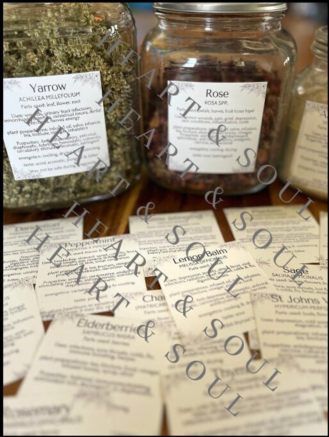 Set 2 Herbal Apothecary Herb Jar Labels, Medicinal Properties, Actions ...