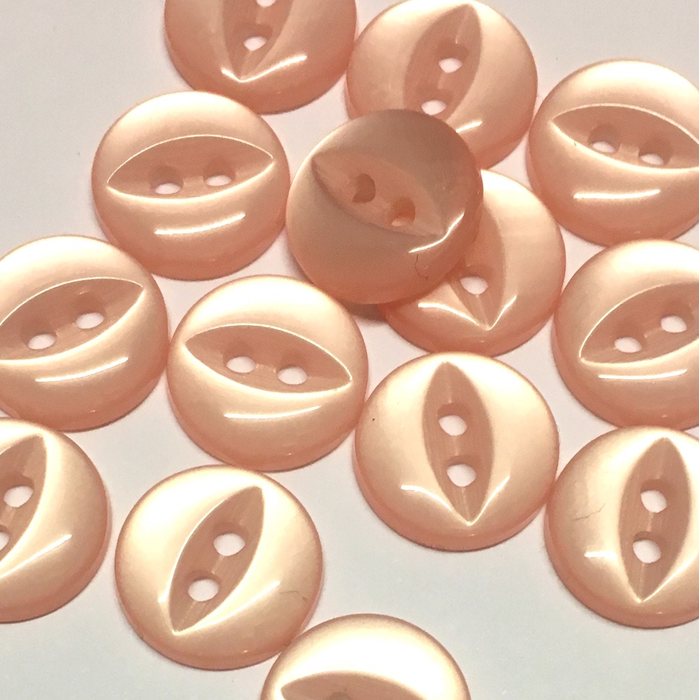 Flor Sobre Fondo Blanco Blanco Lila Rosa Verde Naranja Azul Amarillo Flores Aisladas Blanco 873925 118465