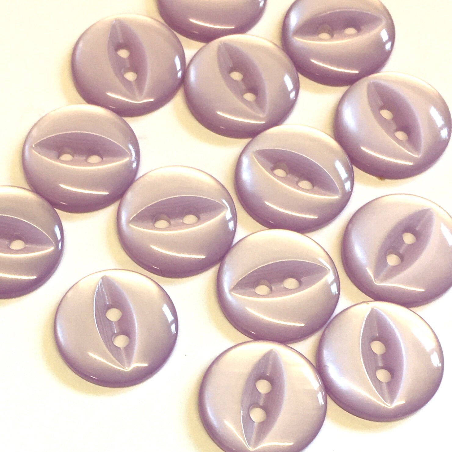 Flor Sobre Fondo Blanco Blanco Lila Rosa Verde Naranja Azul Amarillo Flores Aisladas Blanco 873925 118465