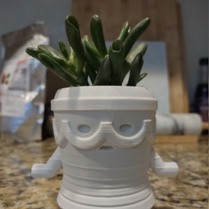 May include: A white, 3D-printed planter shaped like a cartoon character, holding a green succulent plant. The planter has a face with large eyes and a small mouth, with arms extending from the sides. The plant has multiple green, tubular leaves.