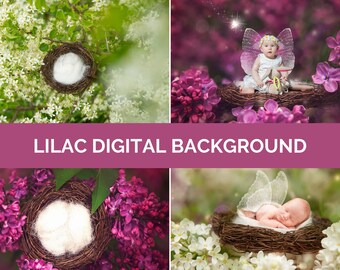 Lilac Digital Photo Background Baby & Newborn Photography Purple white nature