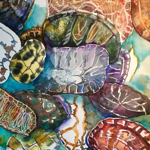 Aquarell-Notiz-Karte, Schildkröten, Muscheln, Strand, 5x7, Qualitätskarton, innen leer, Gruß, Glückwünsche, Danke