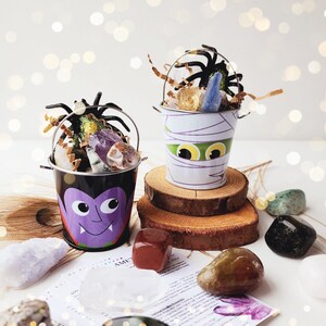 May include: Two small Halloween-themed buckets filled with crystals and other decorative items. The buckets are decorated with a vampire and a mummy. The buckets are sitting on a wooden surface with other crystals and stones.