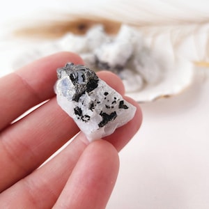 May include: A small, white, rough-textured rock with black crystals embedded in it. The rock is being held in a hand.