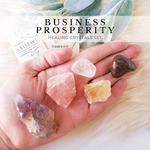 May include: A set of five crystals for business prosperity, including clear quartz, tiger's eye, rose quartz, citrine, and amethyst. The crystals are arranged in a hand, with the text "Business Prosperity Healing Crystals Set" above them.