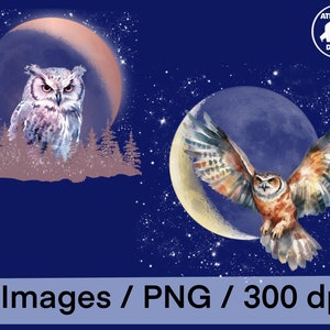 Könnte beinhalten: Digitale Kunst mit zwei Eulen vor einem dunkelblauen Sternenhimmel. Eine Eule sitzt vor einem pfirsichfarbenen Mond, die andere fliegt vor einem Halbmond. Der Text unten lautet "8 Images / PNG / 300 dpi".