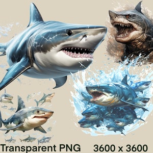 PNG Shark, Watercolor Artwork, Clipart, Set of 4 individual  Elements on a Transparent Background, free commercial use