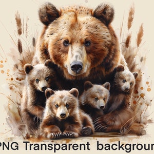 Images clipart mère ours et oursons bébé ours haute résolution 300 dpi animaux sauvages arrière-plan transparent