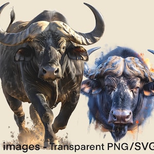 Afrykański bawół afrykański Clipart Safari Zwierzę Wysoka rozdzielczość Plik PNG Afrykańska dzika przyroda Grafika wektorowa SVG Dzika przyroda Przezroczyste tło PNG