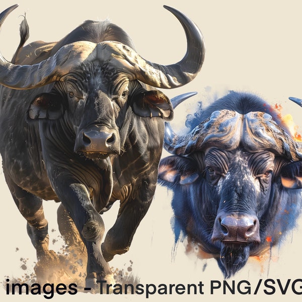 African Cape Buffalo Clipart Safari Animal High Definition PNG file African Wildlife Vector Graphics SVG Wildlife Transparent Background PNG