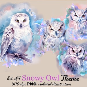 Harfang des neiges Clipart hibou PNG blanc hibou arctique illustration oiseau png clipart animaux des bois créature aquarelle