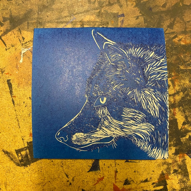 May include: A white wolf head silhouette on a blue background. The wolf's eye is visible and the fur is detailed.