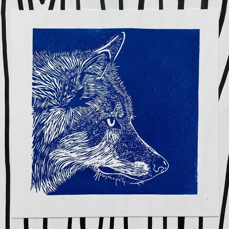 May include: A white line drawing of a wolf's head against a solid blue background.