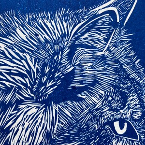 May include: Close-up of a blue and white linocut print of a cat's face. The cat's fur is detailed with fine lines and the eye is a white oval shape.