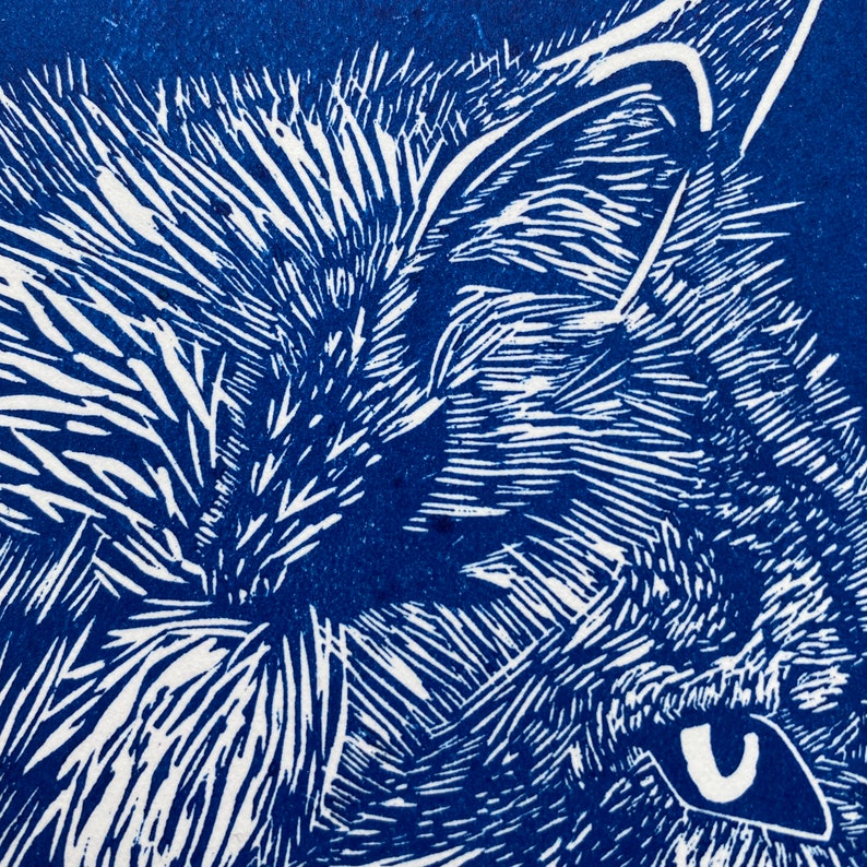 May include: Close-up of a blue and white linocut print of a cat's face. The cat's fur is detailed with fine lines and the eye is a white oval shape.