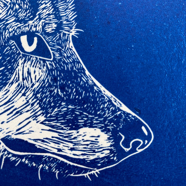 May include: Close-up of a white wolf's face, with a blue background. The wolf's eye is visible, and its nose is pointed.