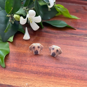 Custom Pet Face Earrings | Personalised | Handmade | Studs | Photo | Cute | Cat | Dog | Resin Finish |