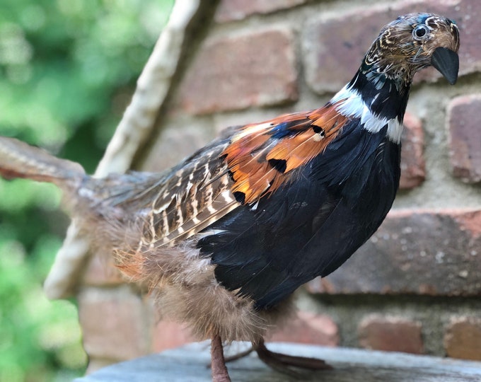 Decorative Pheasants, Pair of 2 Free Standing Etsy