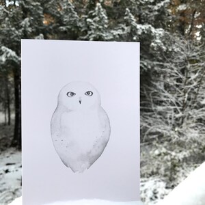 Carte FOX HARFANG DES NEIGES