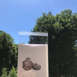 クマ、クマの家族