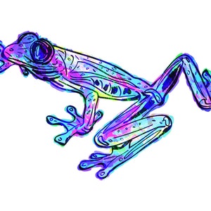 Frog(5B) Giclée Print - Cavanata - 8&quot; X 10&quot; Frog Graphic Fine Art Print, Original Illustration, Animal Art