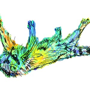 Peut inclure: Une illustration aquarelle colorée d'un raton laveur allongé sur le dos, les pattes en l'air. Le raton laveur est dessiné de manière stylisée, presque caricaturale, avec des traits exagérés et une expression espiègle. Les couleurs sont vives et vibrantes, avec des nuances de bleu, de vert, de jaune et d'orange.