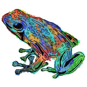 Frog(4OG) Giclée Print - Cavanata - 8&quot; X 10&quot; Frog Graphic Fine Art Print, Original Illustration, Animal Art