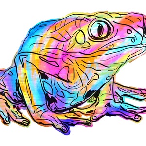 Frog(2) Giclée Print - Cavanata - 8&quot; X 10&quot; Frog Graphic Fine Art Print, Original Illustration, Animal Art