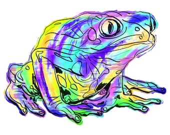 Frog(2B) Giclée Print - Cavanata - 8" X 10" Frog Graphic Fine Art Print, Original Illustration, Animal Art