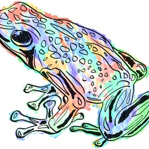 Frog(4B) Giclée Print - Cavanata - 8&quot; X 10&quot; Frog Graphic Fine Art Print, Original Illustration, Animal Art