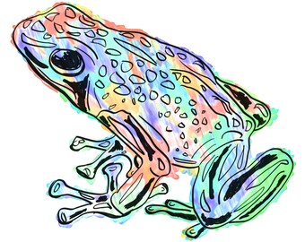 Frog(4B) Giclée Print - Cavanata - 8" X 10" Frog Graphic Fine Art Print, Original Illustration, Animal Art