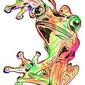 Frog(3C) Giclée Print - Cavanata - 8&quot; X 10&quot; Frog Graphic Fine Art Print, Original Illustration, Animal Art