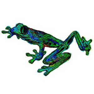 Frog(5OG) Giclée Print - Cavanata - 8&quot; X 10&quot; Frog Graphic Fine Art Print, Original Illustration, Animal Art