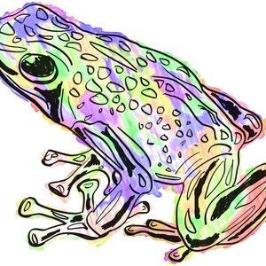 Frog(4C) Giclée Print - Cavanata - 8&quot; X 10&quot; Frog Graphic Fine Art Print, Original Illustration, Animal Art